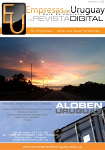 REVISTA N° 33