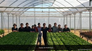 verdeagua2