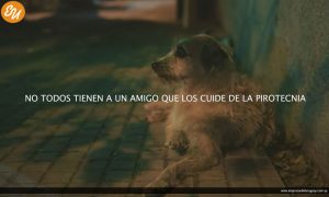 refugio1
